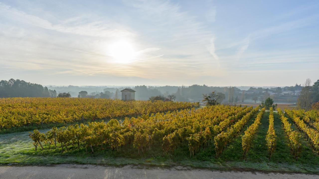Les Raisins Du Bonheur Bed & Breakfast Puisseguin Dış mekan fotoğraf