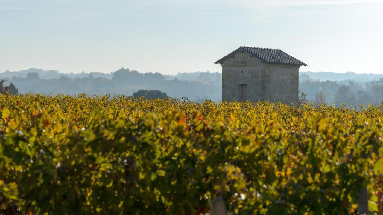 Les Raisins Du Bonheur Bed & Breakfast Puisseguin Dış mekan fotoğraf