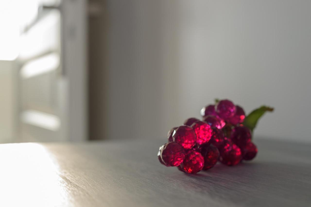 Les Raisins Du Bonheur Bed & Breakfast Puisseguin Dış mekan fotoğraf